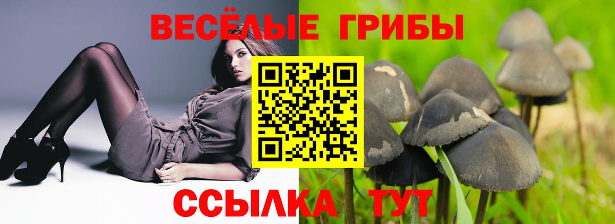 Псилоцибиновые грибы Magic Shrooms  Вход с VPN  Нижнекамск 